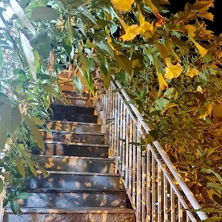 Xhaferaj Vlorë