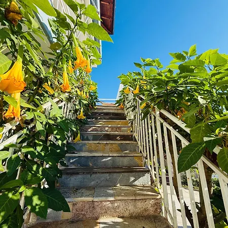 Xhaferaj * Vlore